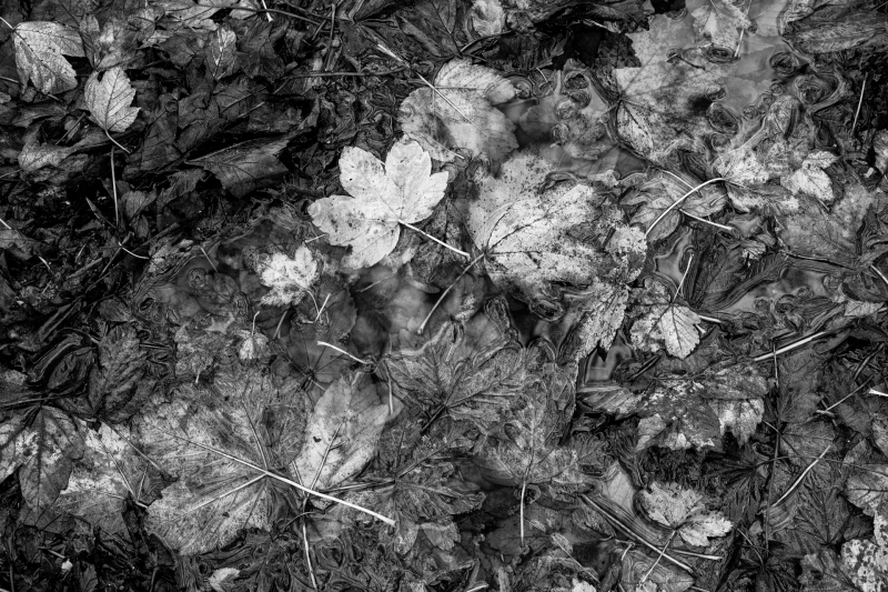 L1000132-bewerkt