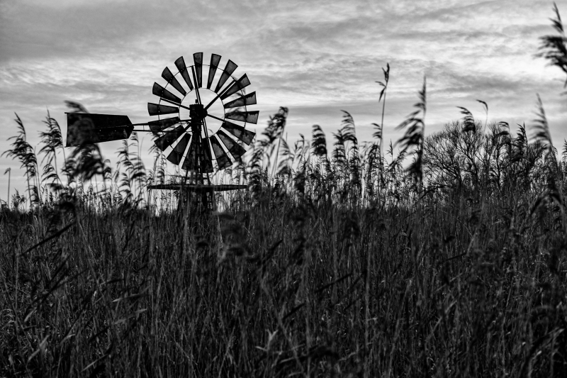 L1000456-bewerkt