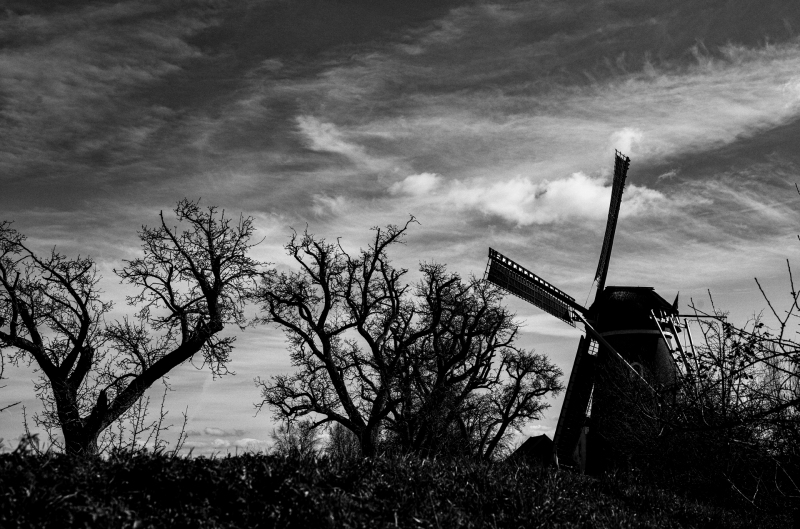 L1001054-bewerkt
