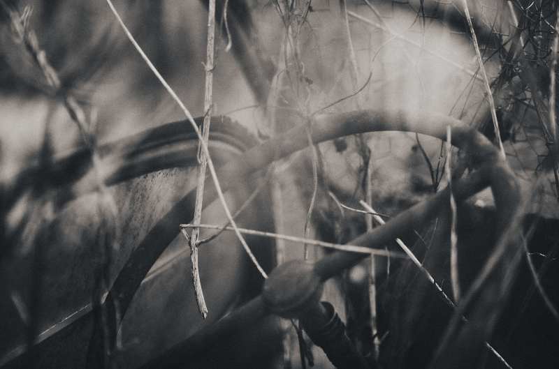 L1000788-1