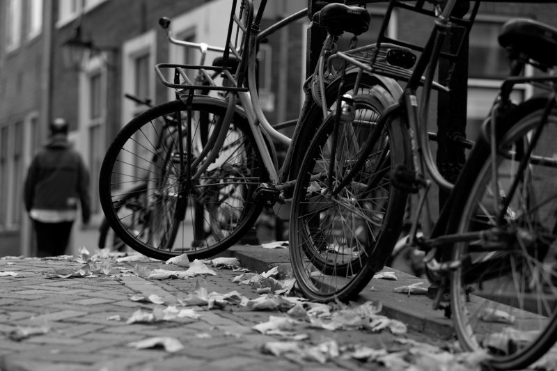 20-11-11_00465