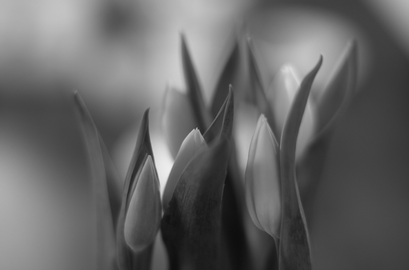 21-04-0421-04-04L1001501