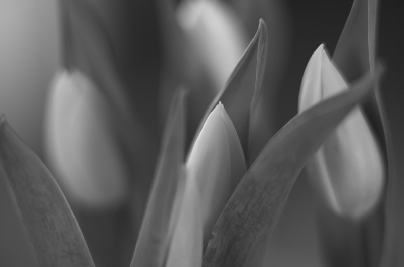 21-04-0421-04-04L1001515