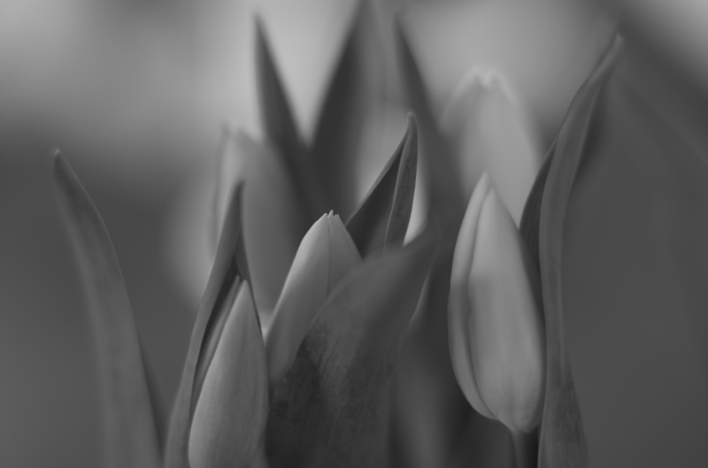 21-04-0421-04-04L1001522