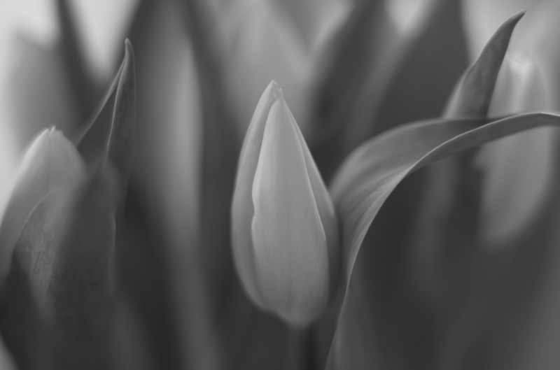 21-04-0421-04-04L1001526
