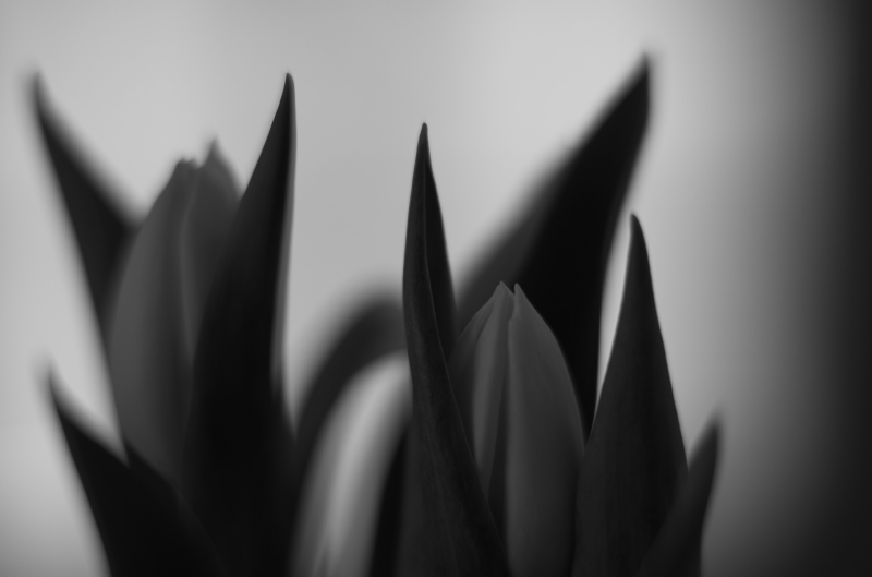 21-04-0421-04-04L1001555