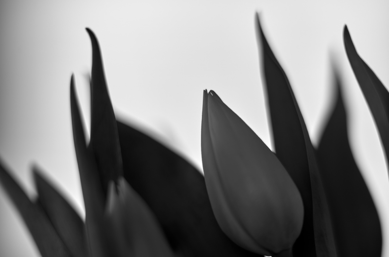 21-04-0421-04-04L1001563